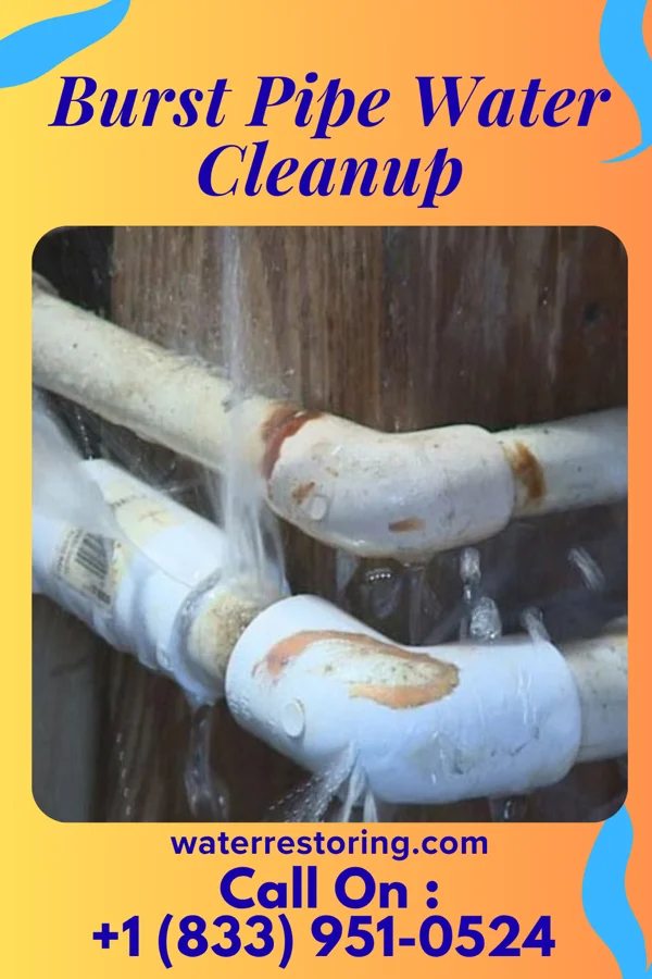 Burst Pipe Water Cleanup in Safety Harbor, FL