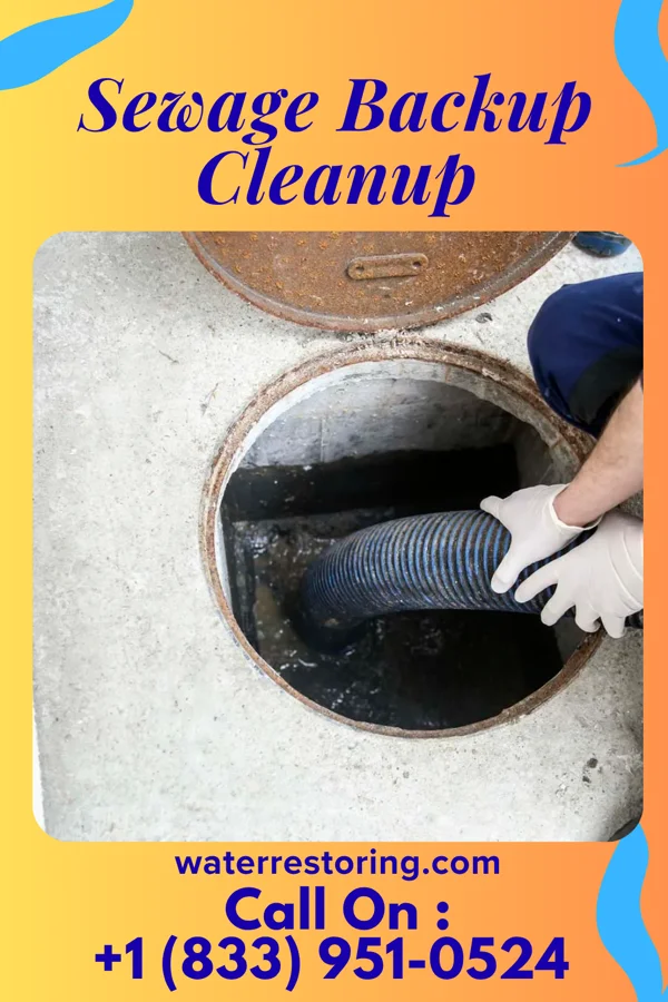 Sewage Backup Cleanup in Safety Harbor, FL
